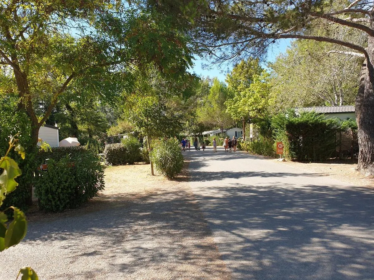 Camping Mobile home tout confort Alexandre La Roque-d'Antheron